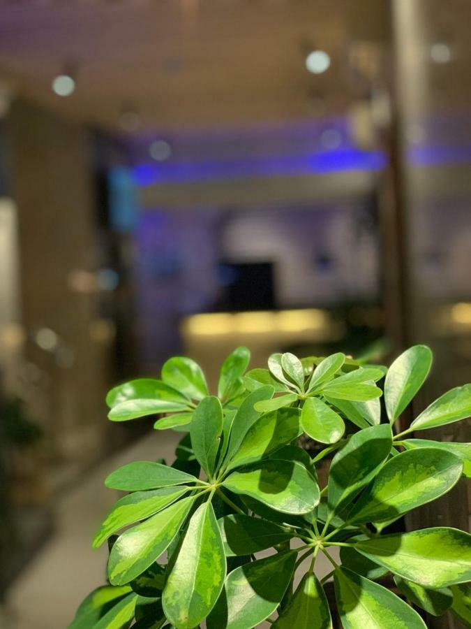ساس رتل المدينة المنورة